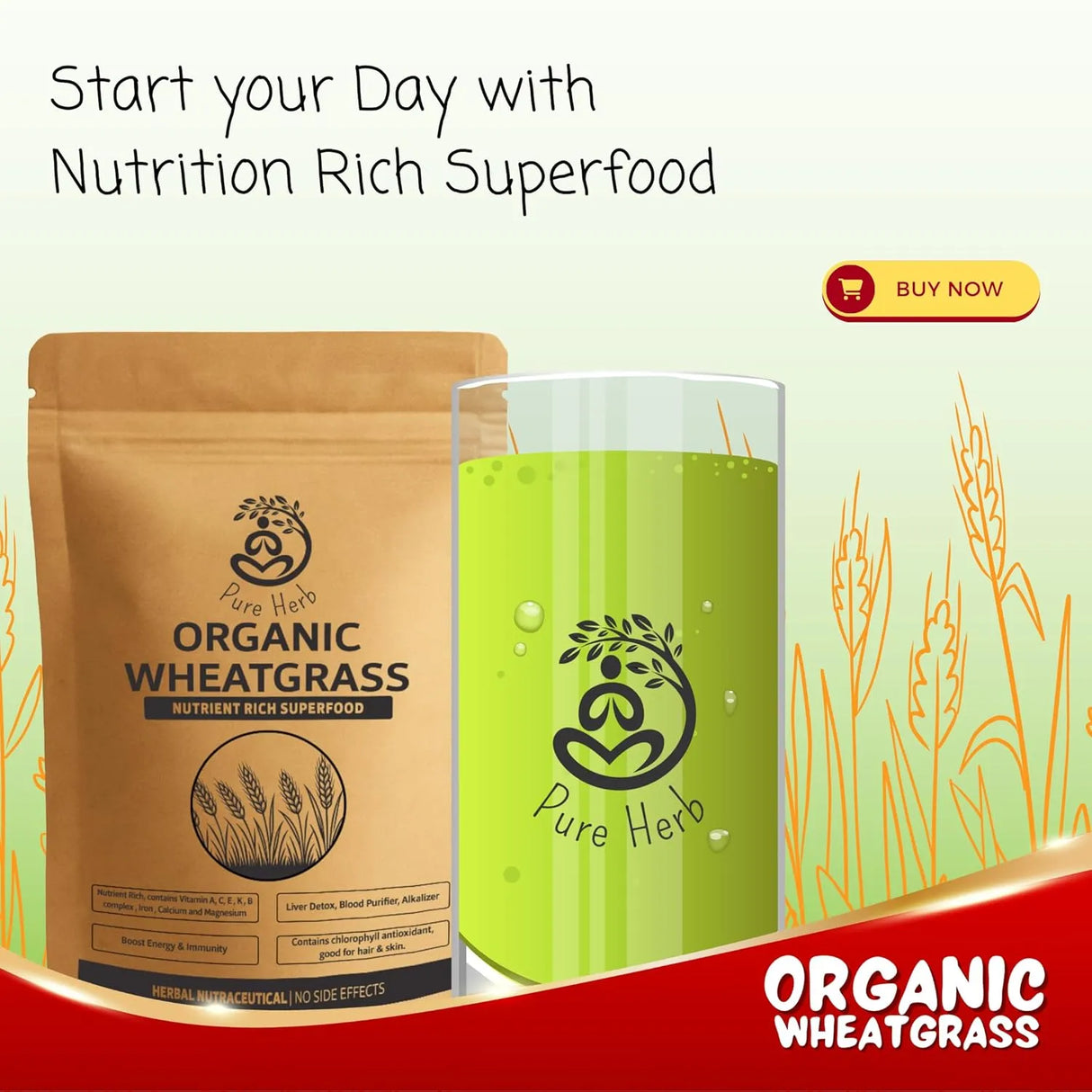 Organic Wheatgrass Powder | Natural Detoxifier & Energy Booster – 150g