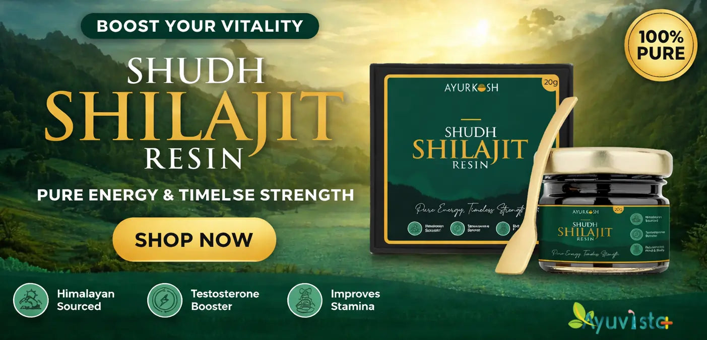 Shudh Shilajit Resin 20g: The Natural Powerhouse for Wellness
