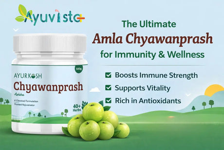 Best Amla Chyawanprash for Immunity | Ayurkosh Chyawanprash