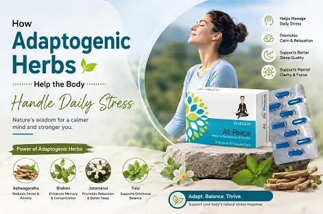 How Adaptogenic Herbs Help the Body Handle Daily Stress