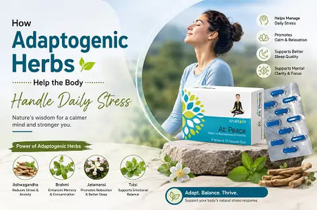 How Adaptogenic Herbs Help the Body Handle Daily Stress