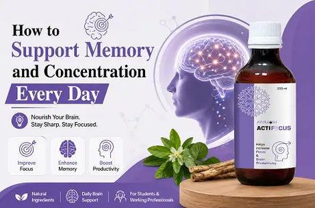 How to Support Memory and Concentration Every Day