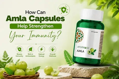 How Can Amla Capsules Help Strengthen Your Immunity?