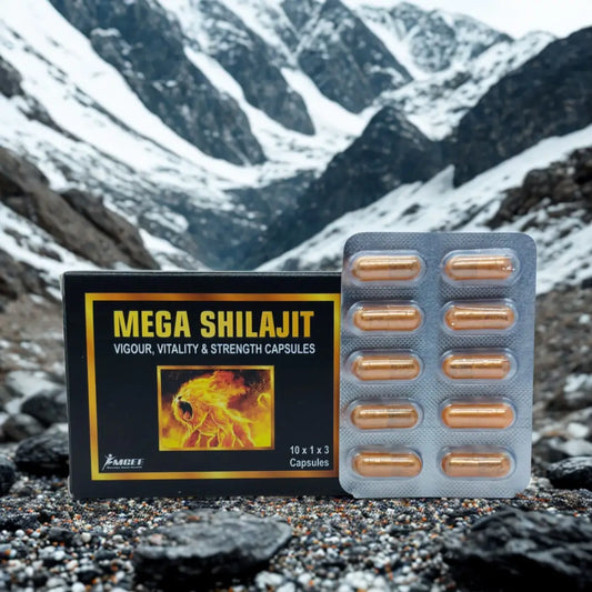 Mega Shilajit capsules and packaging with a mountainous background