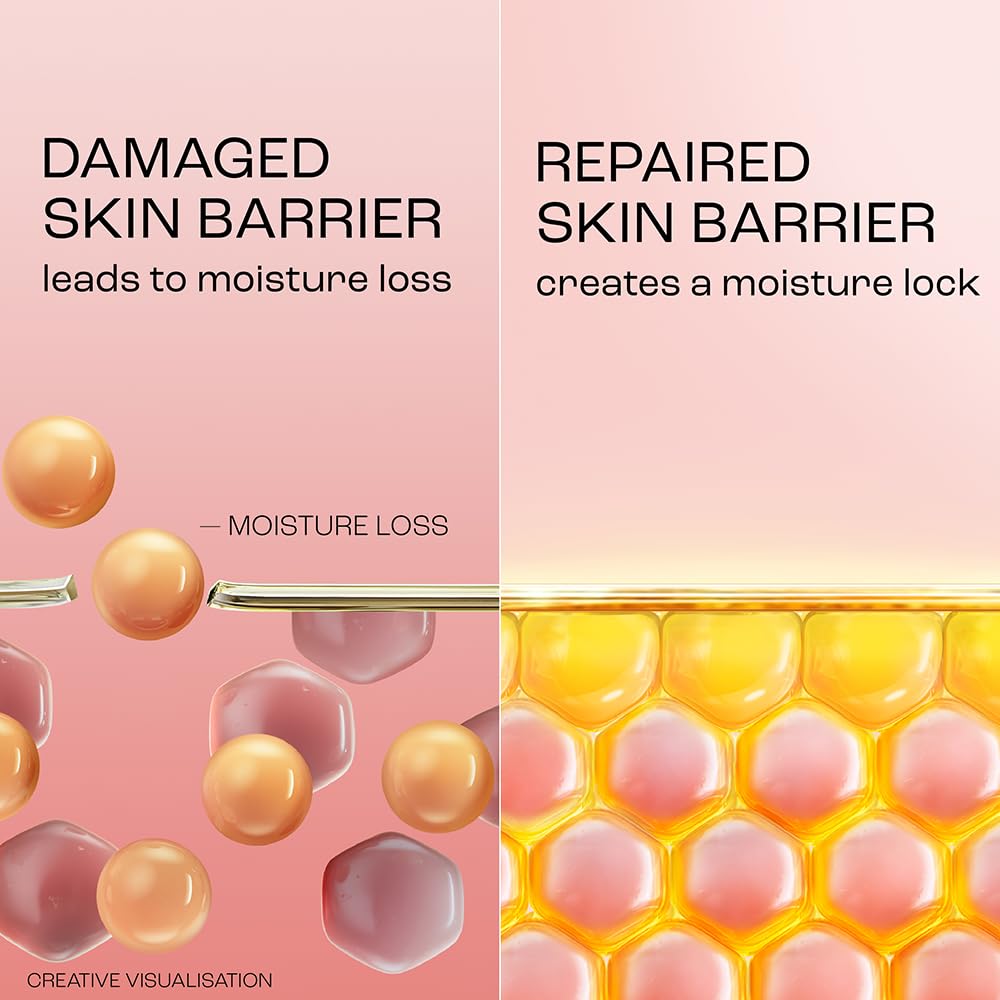 Diagram showing a damaged skin barrier leading to moisture loss and a repaired skin barrier creating a moisture lock.