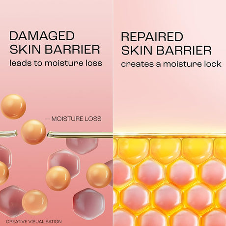 Diagram showing a damaged skin barrier leading to moisture loss and a repaired skin barrier creating a moisture lock.