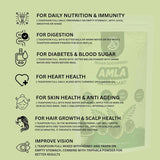 Pure Herb Organic Amla Powder – 100% Pure Indian Gooseberry for Hair, Skin Care & Immunity Support– 100g