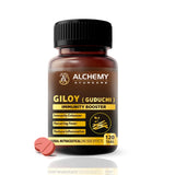 Giloy Extract Tablets | Immunity & Wellness Support – 120 Vegan Tablets