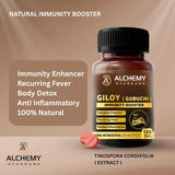 Giloy Extract Tablets | Immunity & Wellness Support – 120 Vegan Tablets