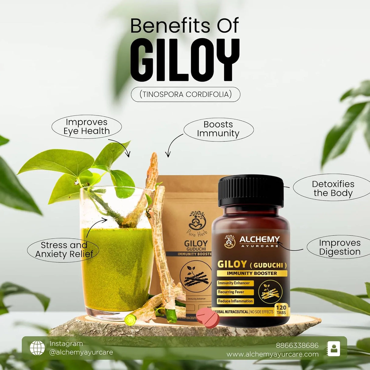 Giloy Extract Tablets | Immunity & Wellness Support – 120 Vegan Tablets