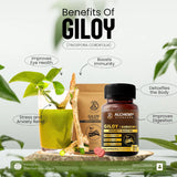Giloy Extract Tablets | Immunity & Wellness Support – 120 Vegan Tablets