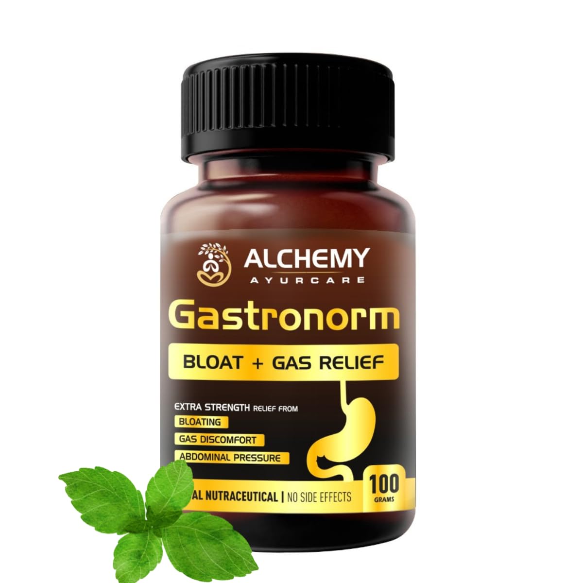 GASTRONORM Powder | Gas & Digestion Support (Pack of 250gm granules)