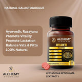 Jivanti Tablets for Energy, Vitality & Wellness | Leptadenia Reticulata Extract | 120 Vegan Tablets