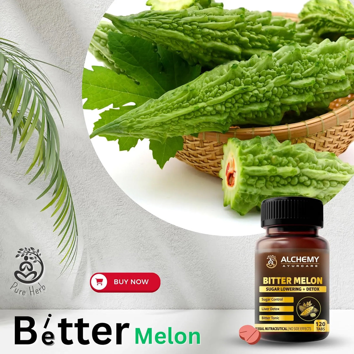 Bitter Melon Extract Tablets for Glucose & Metabolism Support | Karela Extract | 120 Vegan Tablets