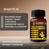 Mahasudarshan Plus Capsules for Immunity & Detox Support | Ayurvedic Wellness Formula | 60 Veg Capsules