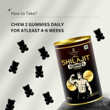 Himalayan Shilajit Gummies | Men’s Energy, Stamina & Vitality Support