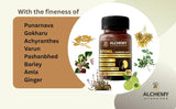 Stonil Ashmari Har Powder | Kidney Stone & Urinary Wellness Support – 200g