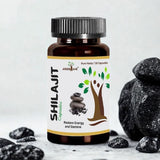 Shilajit