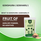 Gokharu Powder | Tribulus Terrestris Strength, Stamina & Vitality Support – 100g