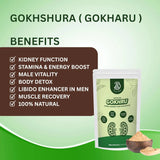 Gokharu Powder | Tribulus Terrestris Strength, Stamina & Vitality Support – 100g