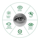 Eye with surrounding icons