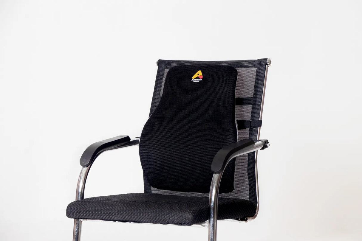 Back Rest – Ergonomic Back Support Cushion